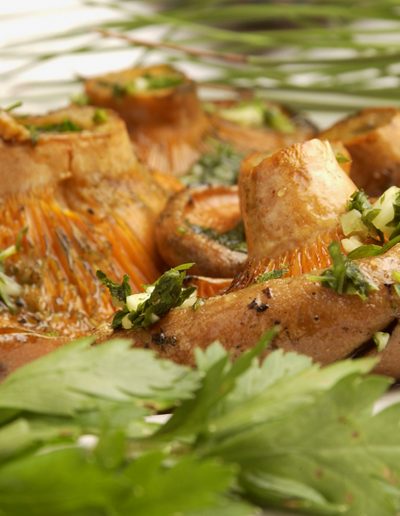 bolet-taiet-ullastrell